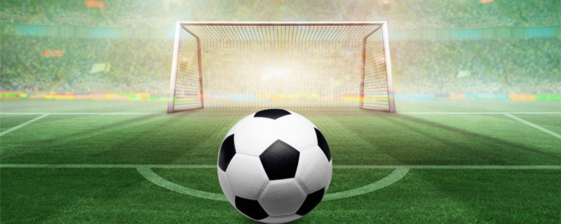 对于王钰栋 对于王钰栋